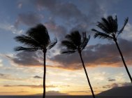 Kamaole One and Two beaches, Kamaole Beach Park; Kihei, Maui, Hawaii, United States of America — стоковое фото