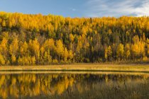 I colori autunnali si riflettono in un lago nell'Alaska interna; Alaska, Stati Uniti d'America — Foto stock