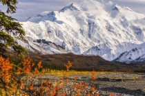 Denali above the Muddy River in autumn, viewed from near Peters Glacier in the backcountry of Denali National Park and Preserve; Alaska, United States of America — Stock Photo
