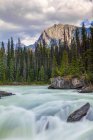Emerald River, Parque Nacional Yoho; Columbia Británica, Canadá - foto de stock