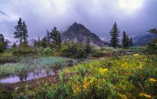 Bogen See mit schroffen felsigen Bergen und Wildblumen, Banff Nationalpark; alberta, Kanada — Stockfoto