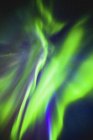 Luzes verdes brilhando do norte em um céu estrelado, Elk Island National Park; Alberta, Canadá — Fotografia de Stock