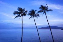 Kamaole One and Two beaches, Kamaole Beach Park; Kihei, Maui, Hawaii, Estados Unidos de América - foto de stock