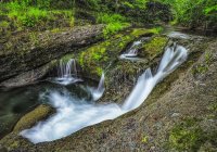 Waterfall and a tranquil stream in a forest; Saint John, New Brunswick, Canada — Stock Photo