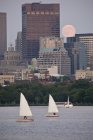 Veleros con una ciudad en el paseo marítimo, Charles River, Back Bay, Boston, Massachusetts, EE.UU. - foto de stock