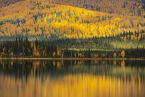 Colores otoñales reflejados en Birch Lake a lo largo de la carretera Richardson; Alaska, Estados Unidos de América - foto de stock