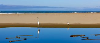 Eau bleu vif et un banc de sable avec des oiseaux le long de la côte de l'Oregon ; Oregon, États-Unis d'Amérique — Photo de stock