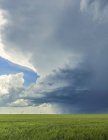 Storm cloud formations over farmland with a wind farm and turbines in the distance; United States of America — Stock Photo