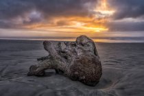 Закат освещает небо вдоль побережья Орегона, а огромные куски сугробов лежат на пляже; Орегон, Соединенные Штаты Америки — стоковое фото