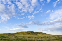 Lush green grass on field and hill, Grasslands National Park; Val Marie, Saskatchewan, Canada — Stock Photo