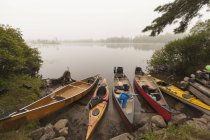 Canoas y kayaks a orillas del lago, Lake Umbagog, New Hampshire, EE.UU. - foto de stock