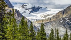 Snow-covered Rocky Mountains in Baniff National Park along the Icefield Parkway; Impromement District No. 9, Alberta, Canada — Stock Photo