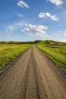 Гравийная дорога, ведущая вдаль, Национальный парк Граслендс; Валь-Мари, Ошеван, Канада — стоковое фото