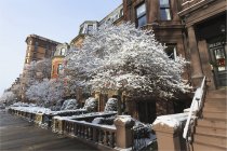 Edifici sul Commonwealth Avenue dopo una tempesta di neve, Boston, Contea di Suffolk, Massachusetts, Stati Uniti — Foto stock