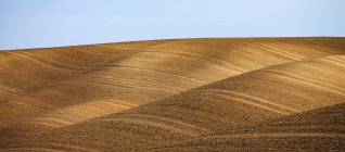 Rolling hills of farmland with fields of stubble, Palouse, Eastern Washington; Washington, Estados Unidos de América - foto de stock