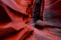 Живописный вид на Каньон X; Пейдж, Аризона, Соединенные Штаты Америки — стоковое фото