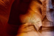 Живописный вид на Каньон X; Пейдж, Аризона, Соединенные Штаты Америки — стоковое фото