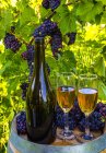 Wein serviert in einem Weingut mit Weingläsern und Trauben von frischen Trauben auf einem Fass; Quebec, Kanada — Stockfoto