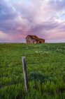 Granero abandonado en tierras de cultivo con nubes de tormenta de color rosa brillante; Val Marie, Saskatchewan, Canadá - foto de stock
