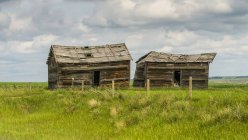 Deux granges en ruine assises sur des terres agricoles, comté de Kneehill ; Drumheller, Alberta, Canada — Photo de stock