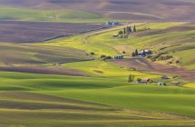 Farmen und Ackerland rund um Palouse in Eastern Washington; Washington, Vereinigte Staaten von Amerika — Stockfoto