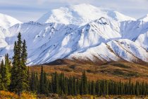 Свежий снег осенью покрывает горы в Национальном парке и заповеднике Денали; Аляска, США — стоковое фото