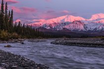 Alpenglow atardecer en la cordillera de Alaska, vista desde el río Muddy en el Parque Nacional y Reserva Denali; Alaska, Estados Unidos de América - foto de stock