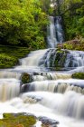 Vista panorámica de McLean Falls, Catlins Forest Park; Región de Otago, Nueva Zelanda - foto de stock