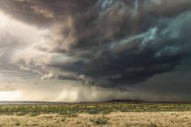 Nuvens de tempestade escura dramáticas sobre matagal; Novo México, Estados Unidos da América — Fotografia de Stock