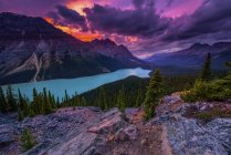 Peyto Lake sob céus dramáticos, Banff National Park; Alberta, Canadá — Fotografia de Stock