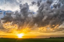 Coucher de soleil doré brillant sur la prairie plate ; Val Marie, Saskatchewan, Canada — Photo de stock
