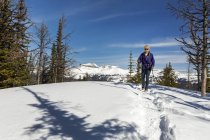Escursionista femminile su sentiero innevato con montagne, cielo azzurro e nuvole sullo sfondo; Lake Louise, Alberta, Canada — Foto stock