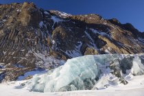 Ghiacciaio Black Rapids nella catena dell'Alaska in una giornata invernale soleggiata; Alaska, Stati Uniti d'America — Foto stock