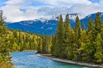 Río Fraser que fluye a través de las montañas rocosas canadienses; Columbia Británica, Canadá - foto de stock