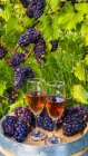 Вино подається у виноробні з винними окулярами і гронами свіжого винограду на бочці; Квебек (Канада). — стокове фото
