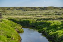 Lush green grass on rolling hills and a tranquil creek in Grasslands National Park; Val Marie, Saskatchewan, Canada — Stock Photo