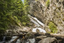Базовый водопад Гранит-Фоллс летом, на Гранит-Крик, источник для озера Прист, Национальный лес Каниксу; Айдахо, США — стоковое фото