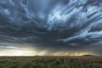 Дождь вдалеке на прериях под зловещими грозовыми облаками; Саскачеван, Канада — стоковое фото