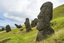 Un sentier faible nous mène entre plusieurs têtes de moai saillantes d'une pente herbeuse, Île de Pâques, Chili — Photo de stock