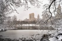 Schneefall im Central Park; New York City, New York, Vereinigte Staaten von Amerika — Stockfoto