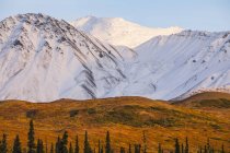 Nieve fresca cubre las montañas en otoño en Denali National Park and Preserve; Alaska, Estados Unidos de América - foto de stock