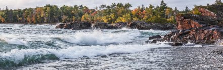 Lake Superior with a forest in autumn colours and waves washing onto the beach; Ontario, Canada — Stock Photo