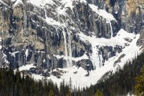 Landschaft der Felswand mit Lawinenschnee, der über Klippen fällt; Feld, britische Kolumbia, Kanada — Stockfoto