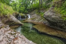 Wasserfall und ein ruhiger Bach im Wald; saint john, new brunswick, canada — Stockfoto