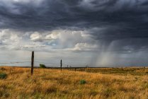 Storm clouds and rainfall over fields in the prairies; Saskatchewan, Canada — Stock Photo