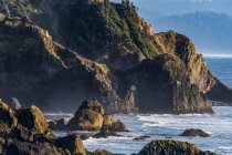 Steep cliffs and dense forest characterize the Oregon Coast at Ecola State Park; Cannon Beach, Oregon, United States of America — Stock Photo