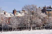Улица Бикон после зимнего шторма, Бостон, Массачусетс, США — стоковое фото