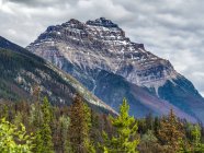 Rugged rocky mountains and forest along the Icefield Parkway, Improvement District No. 12; Alberta, Canada — Stock Photo