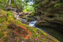 Ruisseau en cascade au-dessus d'une roche dans une forêt ; Saint John, Nouveau-Brunswick, Canada — Photo de stock