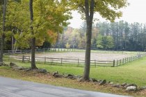 Pferdering tagsüber in Bauernhof — Stockfoto